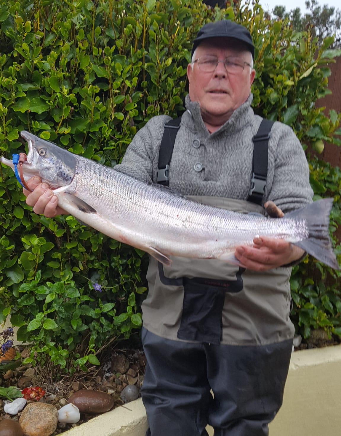 John Cosgrove_Atlantic Salmon